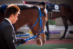 競馬場