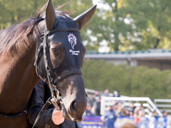 競馬場