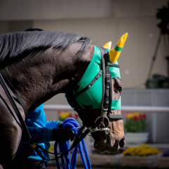 競馬場