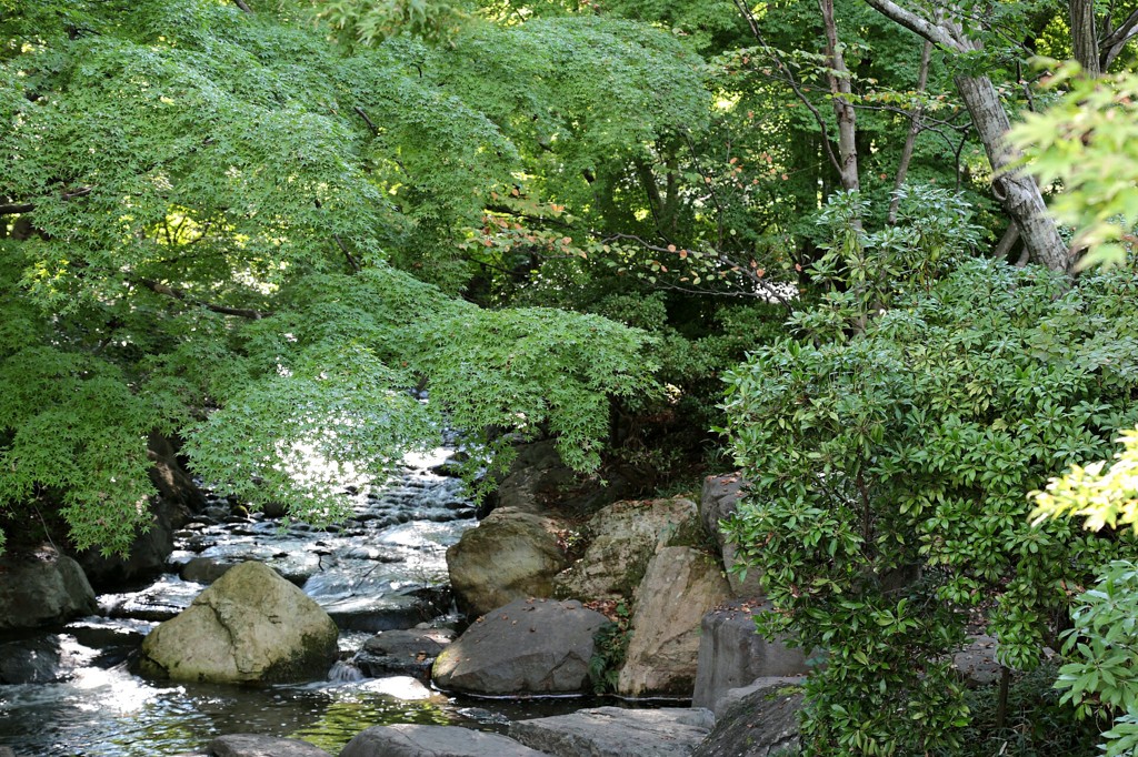宇都宮中央公園06