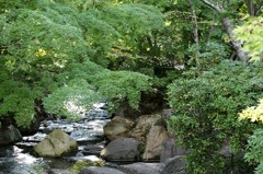 宇都宮中央公園06
