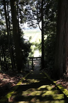 近所の神社3