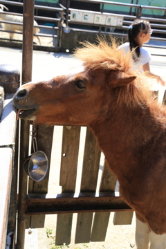 宇都宮動物園02