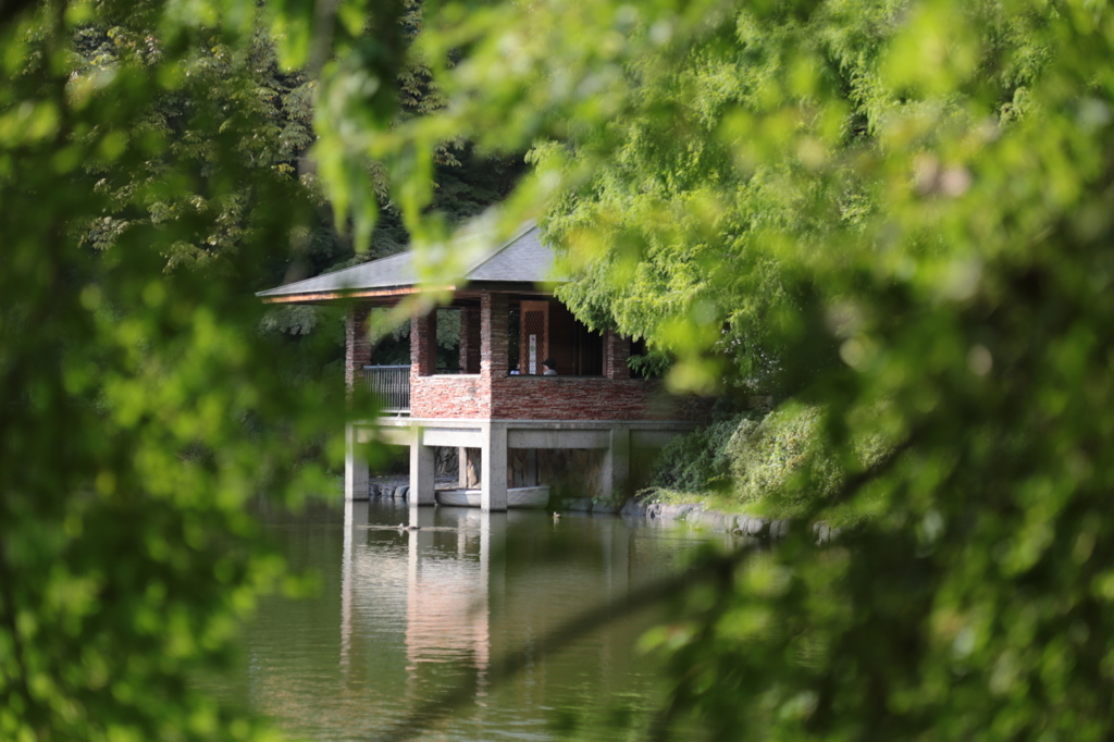 宇都宮中央公園04