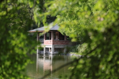 宇都宮中央公園04