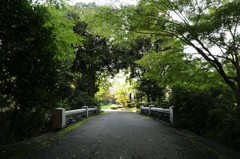 宇都宮中央公園02