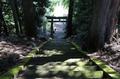 近所の神社1