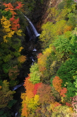 紅葉に包まれて