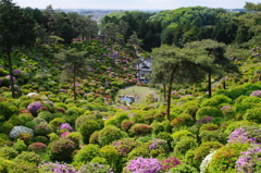 塩船観音寺