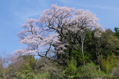 人知れず
