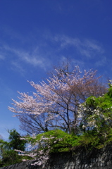 IMGP0603m