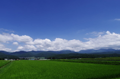 田園の夏景色