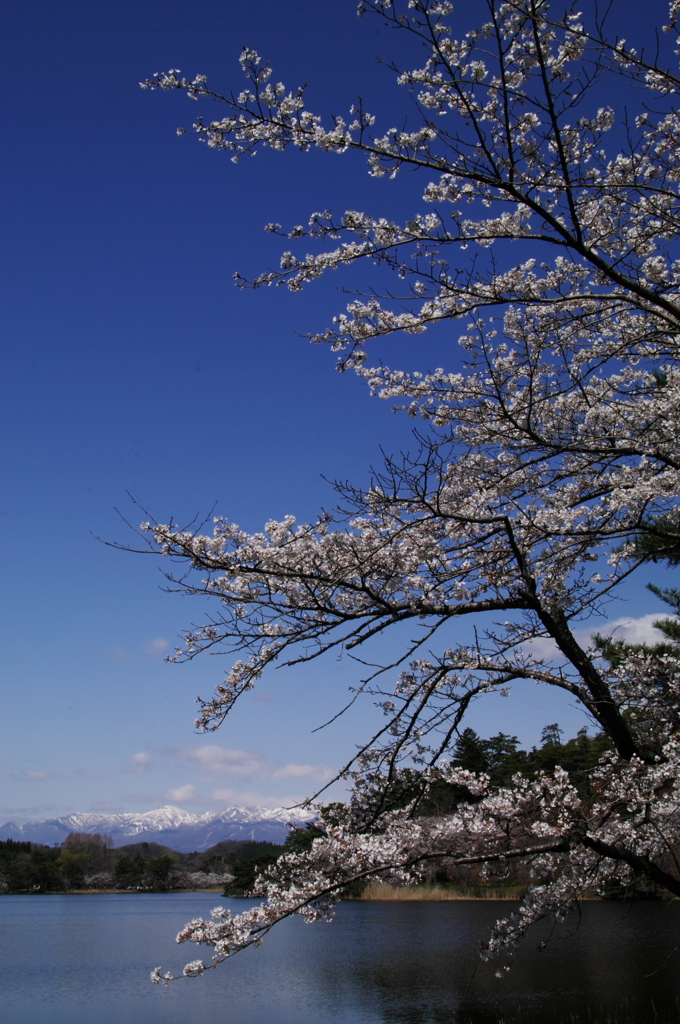 雪山を見て
