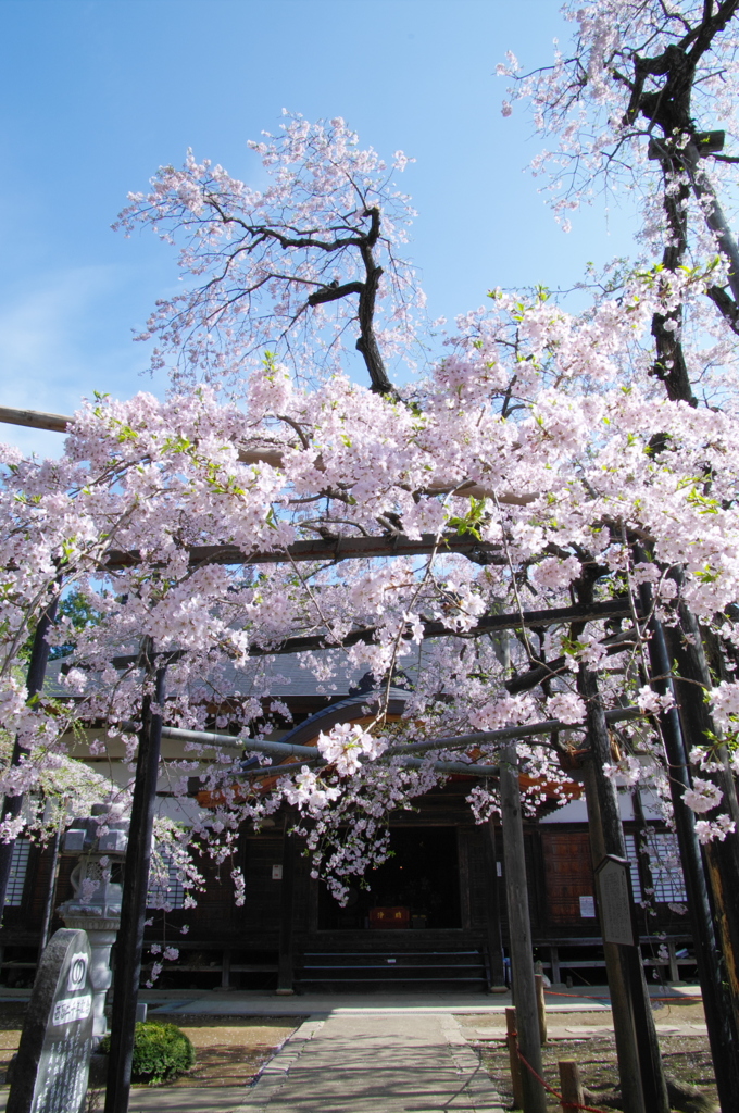 愛蔵寺