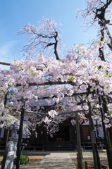 愛蔵寺
