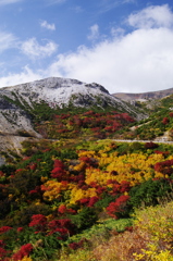 山の紅葉