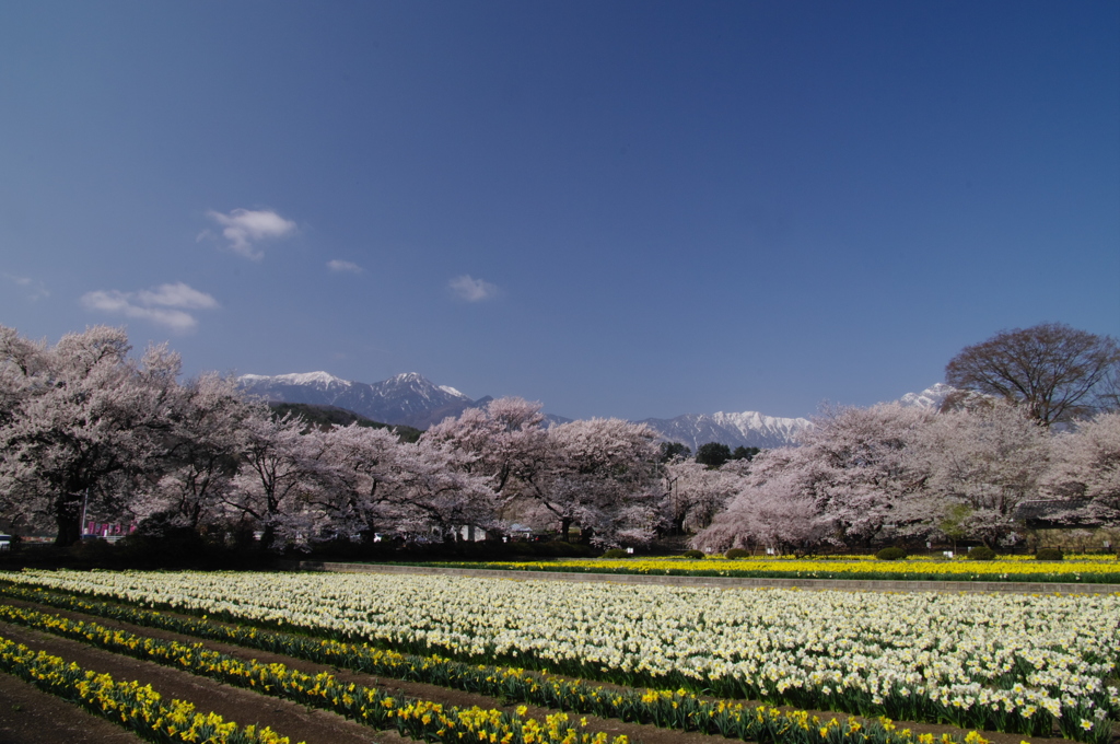 実相寺の風景-1
