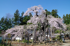 愛蔵寺