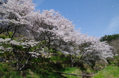 風の贈り物