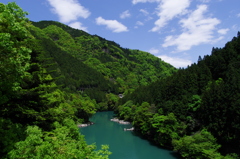 新緑が眩しくて