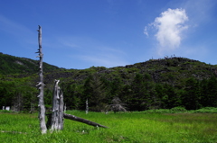 山の夏景色-1