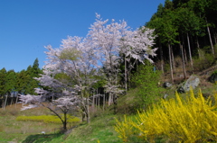 人知れず