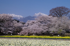 実相寺の風景-2