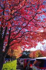 水元公園⑥