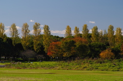 水元公園①