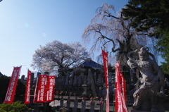 春の陽を浴びて