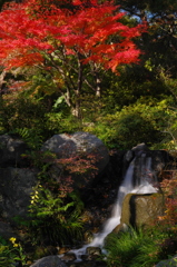 水が流れて
