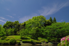新緑がまぶしい