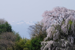 まだ冬が残っていました