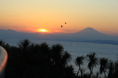 夕日と富士