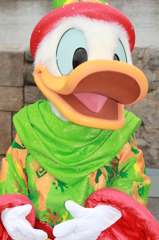 ドナ