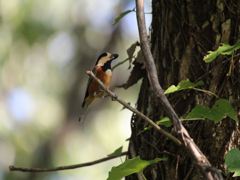 IMG_0271_R