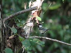 IMG_0361_R