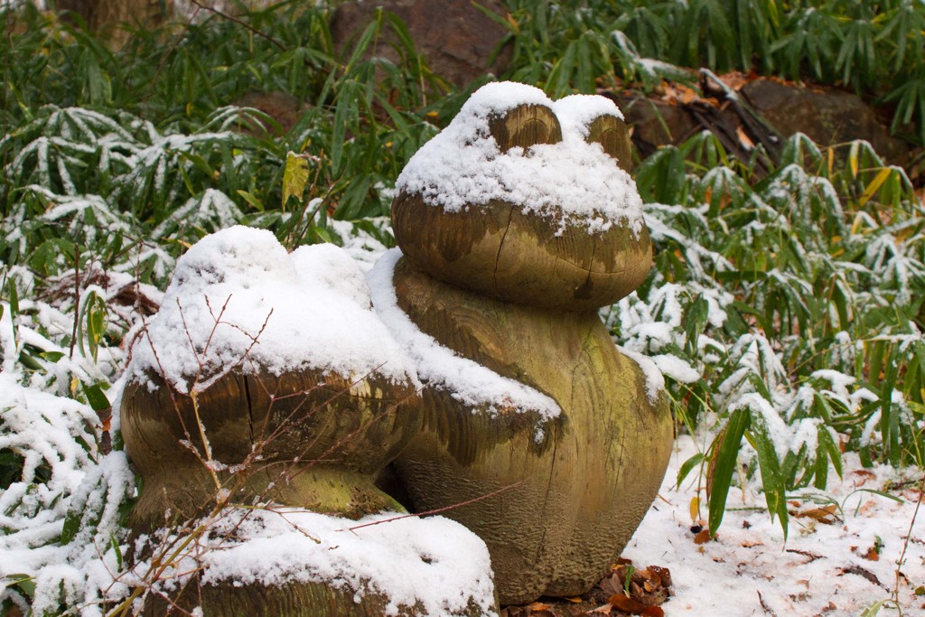 カエルマスクマン！