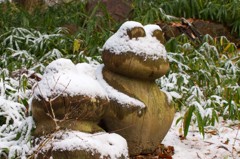 カエルマスクマン！