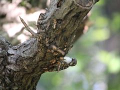 IMG_0321_R