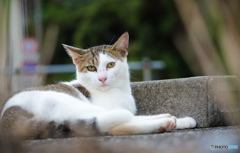 カッコイイお兄さん