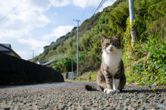 ここを通りたければ