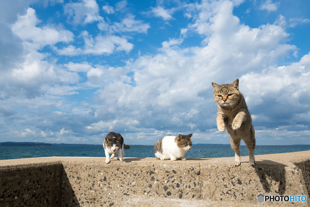 よいしょ～