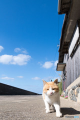 いいお天気です