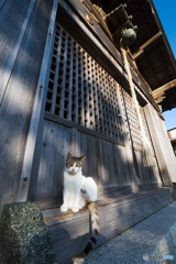 一休み