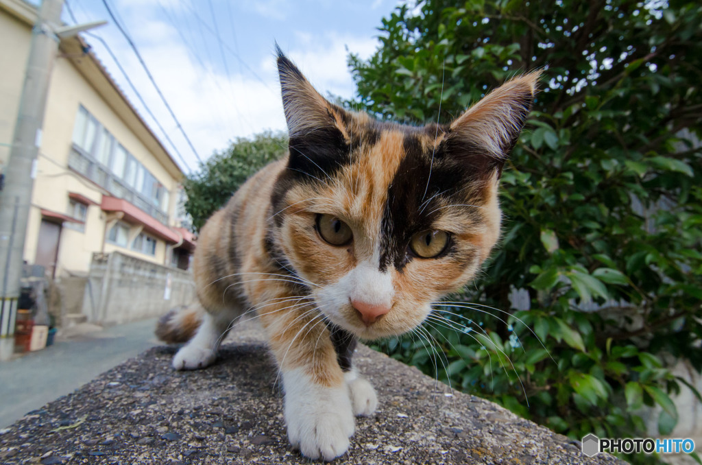 んんっ？