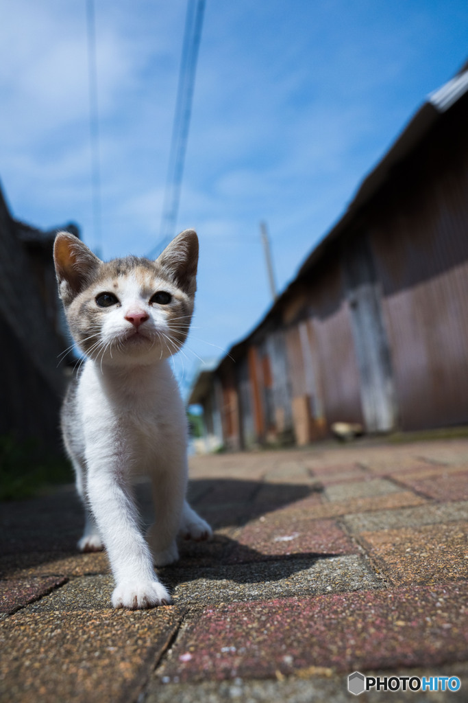 どうだ！！