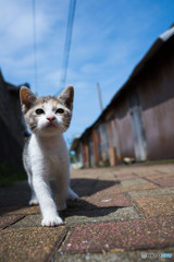 どうだ！！
