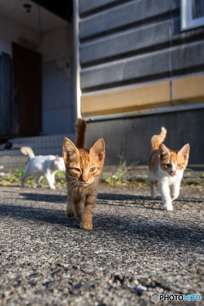 おチビちゃんが朝のご挨拶