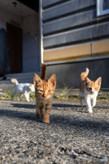 おチビちゃんが朝のご挨拶